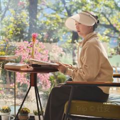 小清萊（惠城總店）張用戶圖片