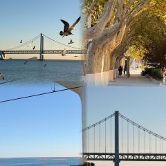 喜鼎海胆水饺(星海湾壹号店) User Photo