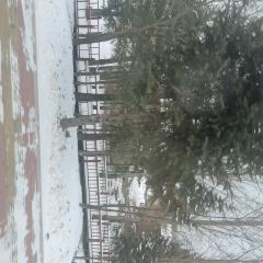 小土豆家常菜馆 User Photo