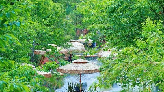 mi jing · ya ma xun zhu ti gong yuan