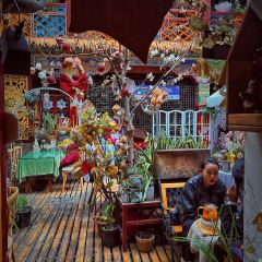 光合作用咖啡厅 User Photo