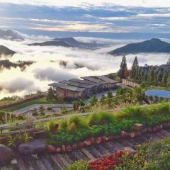 Pino Latte Resort & Cafe張用戶圖片