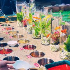 北城印象火锅烤肉牛排海鲜自助餐厅 User Photo