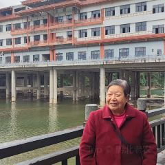 夏黑子坛子鱼(总店) User Photo