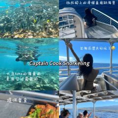 Da Poke Shack User Photo