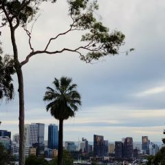 Fraser's Restaurant User Photo