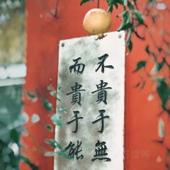 Daguohaixiancheng (puzhaosi) User Photo
