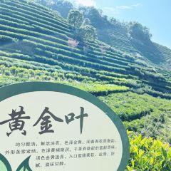 Yuanxinniurouguotiao (kuiyuan) 여행 사진