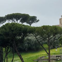 Costanza Hostaria User Photo