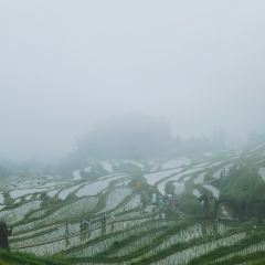 永和魚館張用戶圖片
