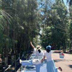 清口清汤面(西航路店) User Photo