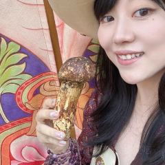 画山藏餐 User Photo