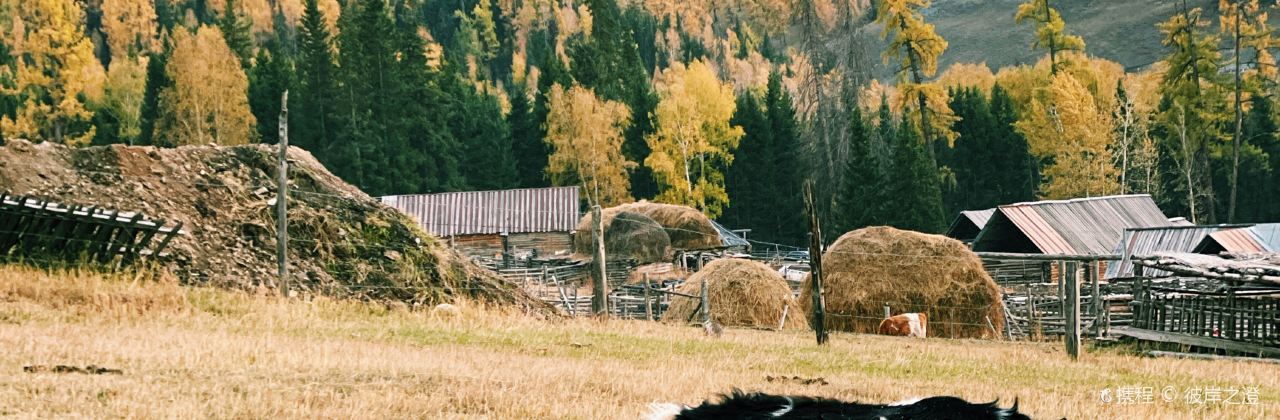 白哈巴克亚特牧舍