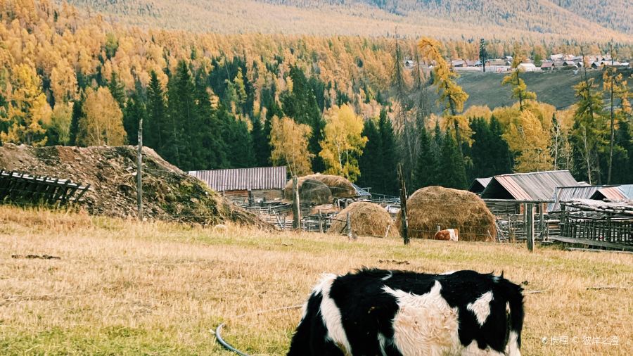 白哈巴克亚特牧舍