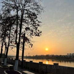 五弟嫂酒釀茶飲店張用戶圖片