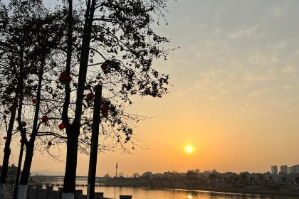 五弟嫂酒釀茶飲店