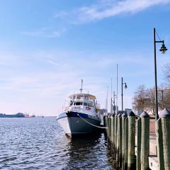 Capt. Groovy's Grill and Raw Bar 여행 사진
