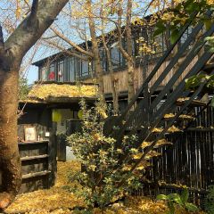 误会·庭院 User Photo