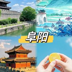 Tiansanjuanmo (renminzhonglu) User Photo