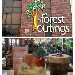 Forest Outings User Photo