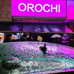 OROCHI 여행 사진