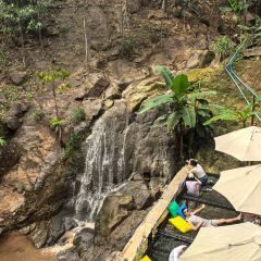 Jungle De Cafe User Photo