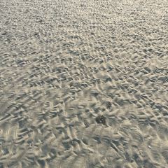 防城港白浪滩戴斯温德姆酒店·粤港轩中餐厅 User Photo