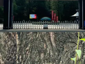 YUE XING RE MIAN