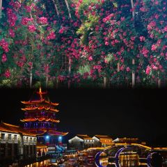 雷官板鸭 User Photo