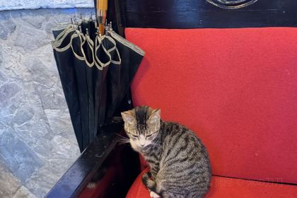 TWINS : restaurant-Café