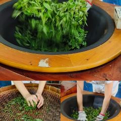 T三峰林茶谷野奢帐篷营地·T三茶宴 User Photo