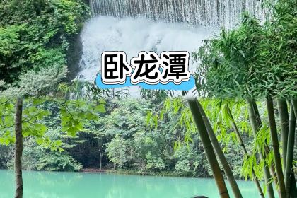 正宗苗家酸汤鱼