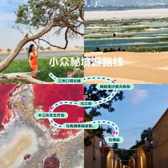 金沙湾牧家游 User Photo