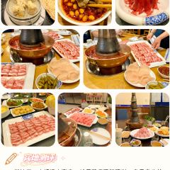 MAJIA RESTAURANT User Photo