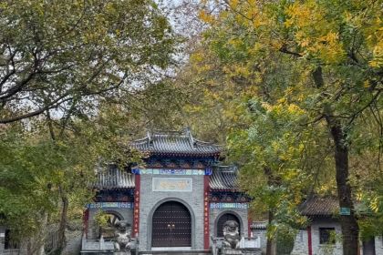 黃栗樹生態美食土菜館