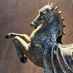 一品红养生汤煲(融汇温泉店) User Photo