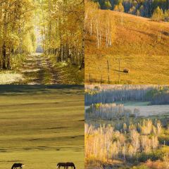 Manda Sheng Yuan Xiang chafing  dish User Photo