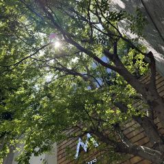 Lanes Restaurant User Photo