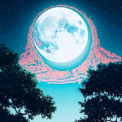 味仙居-石鍋記出品張用戶圖片