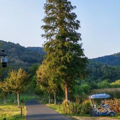 小三毛流浪处明清酒家(南北湖风景区店) User Photo