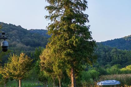 小三毛流浪处明清酒家(南北湖风景区店)
