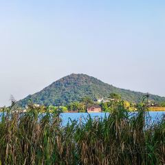 小三毛流浪处明清酒家(南北湖风景区店) User Photo