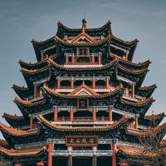 AWU YELLOW RIVER COMMON CARP 여행 사진