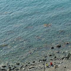 Having Moment User Photo