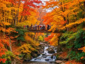 Natural Gallery