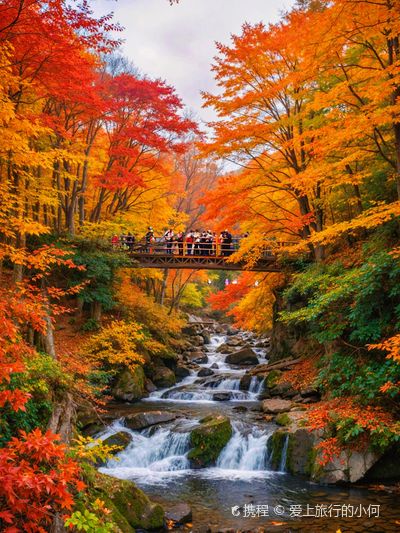 Natural Gallery