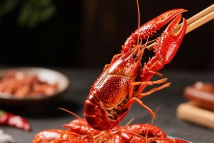 巴釐龍蝦·榜首油燜大蝦（萬松園一店）