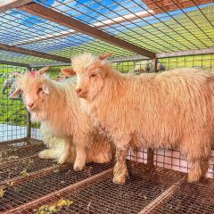 上品江湖菜(龙脊广场店) User Photo