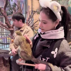 四厂烩面(棉纺路店) User Photo