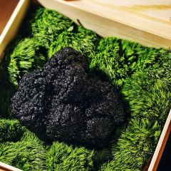 Regent Shanghai on The Bund · JIN LIN User Photo